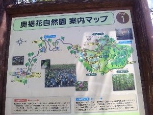 鬼無里・自然.jpg