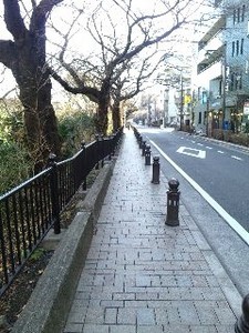 ジブリ・散歩道.jpg