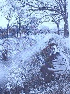 ジブリ・太宰.jpg