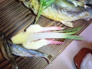 ツバメ生姜.jpg