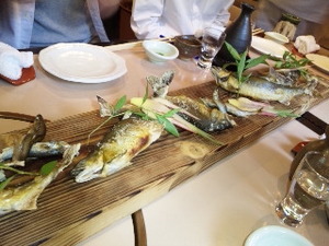 鮎の塩焼き.jpg