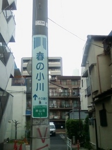 画像-0441.jpg