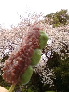 画像-0442.jpg