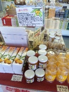 館山・びわ製品.jpg