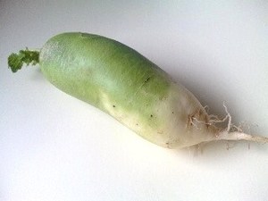 帰郷・大根.jpg