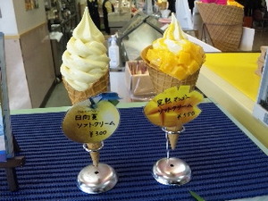 宮崎・売店.jpg