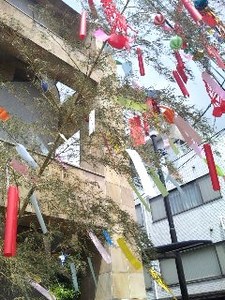 御苑・3.jpg