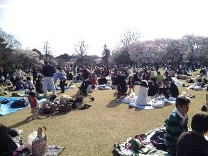 御苑・庭園.jpg