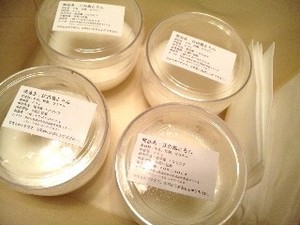 江の島とろん.jpg