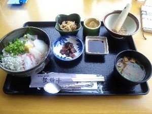 瀬戸内海鮮丼.jpg