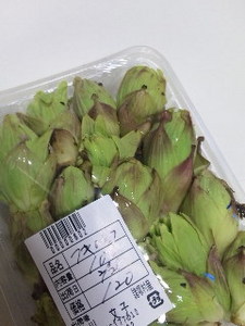 土産・蕗の薹.jpg