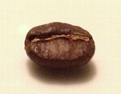 珈琲豆・2.jpg